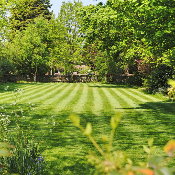 Established Lawn Care Business for Sale Brisbane