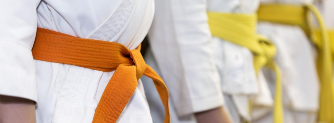 Martial Arts Business for Sale Gold Coast QLD