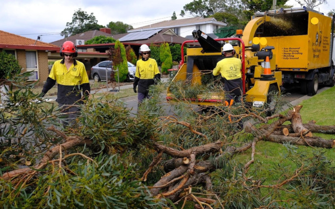 Jims Tree Lopping Business for Sale Melbourne