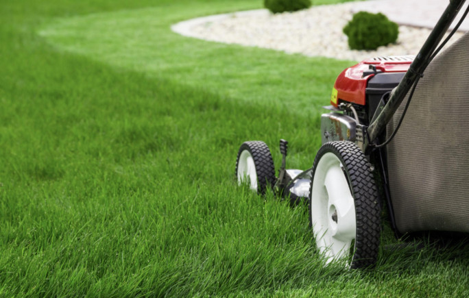 Lawnmowing Business for Sale Melbourne