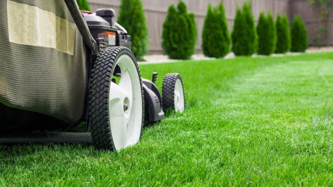 Lawnmowing and Gardening Franchises Business for Sale Melbourne 