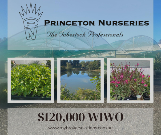 Plant Nursery Business for Sale NSW