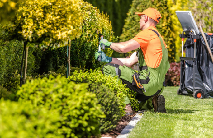 Grounds Maintenance Business for Sale Gladstone QLD