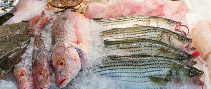 Seafood Shop Business for Sale Sydney