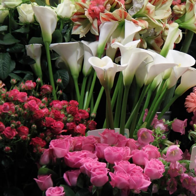 Florist Business for Sale Sydney 