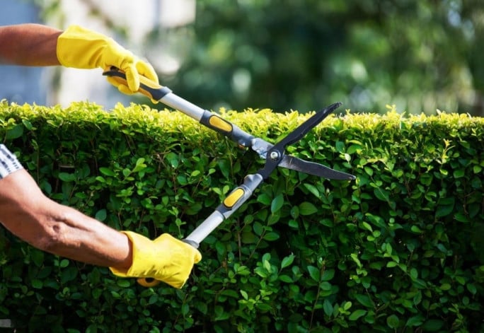 Lawn & Garden Business for Sale Sydney