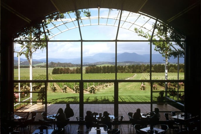 Vineyard & Winery Business for Sale Tasmania