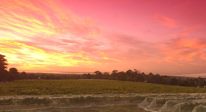 Mornington Peninsula Winery for Sale Mornington VIC